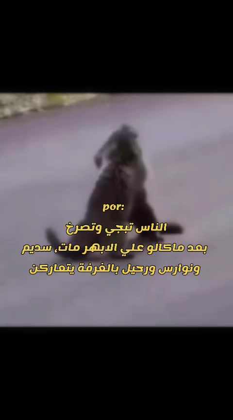 @๐ฅ