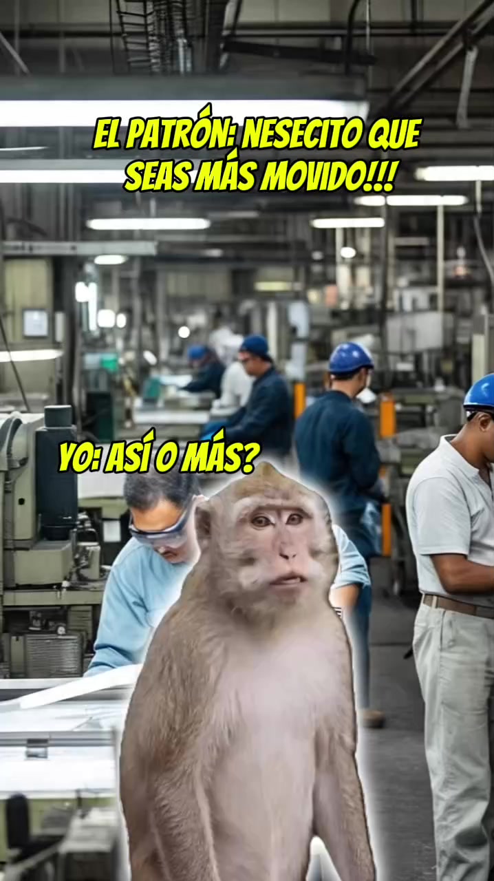 @apolo