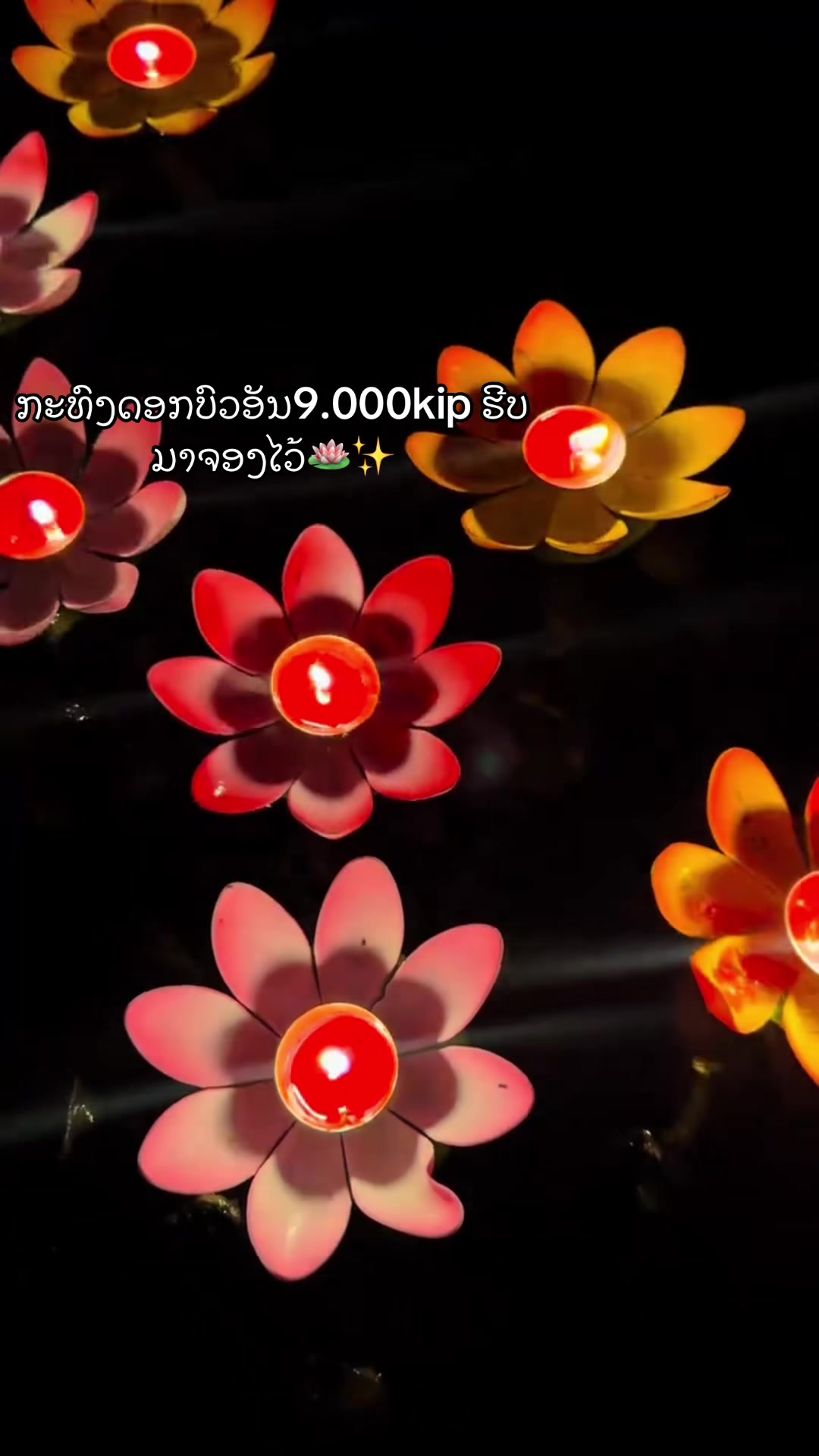 @Shadylane๐๏ธ(เบเปเปเบกเบตเบเบฒเบเบเบฒเบ)