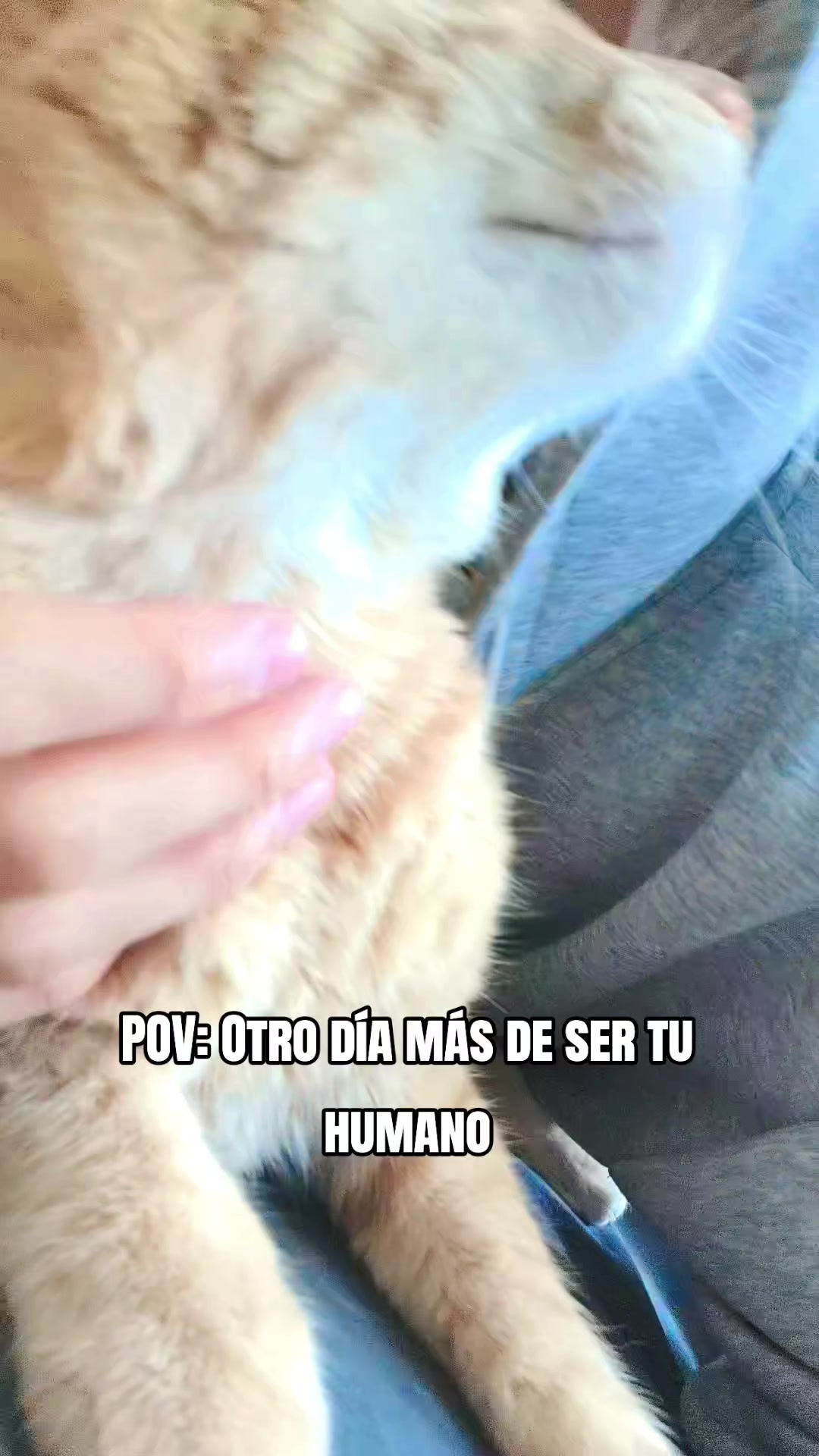 @T O V A