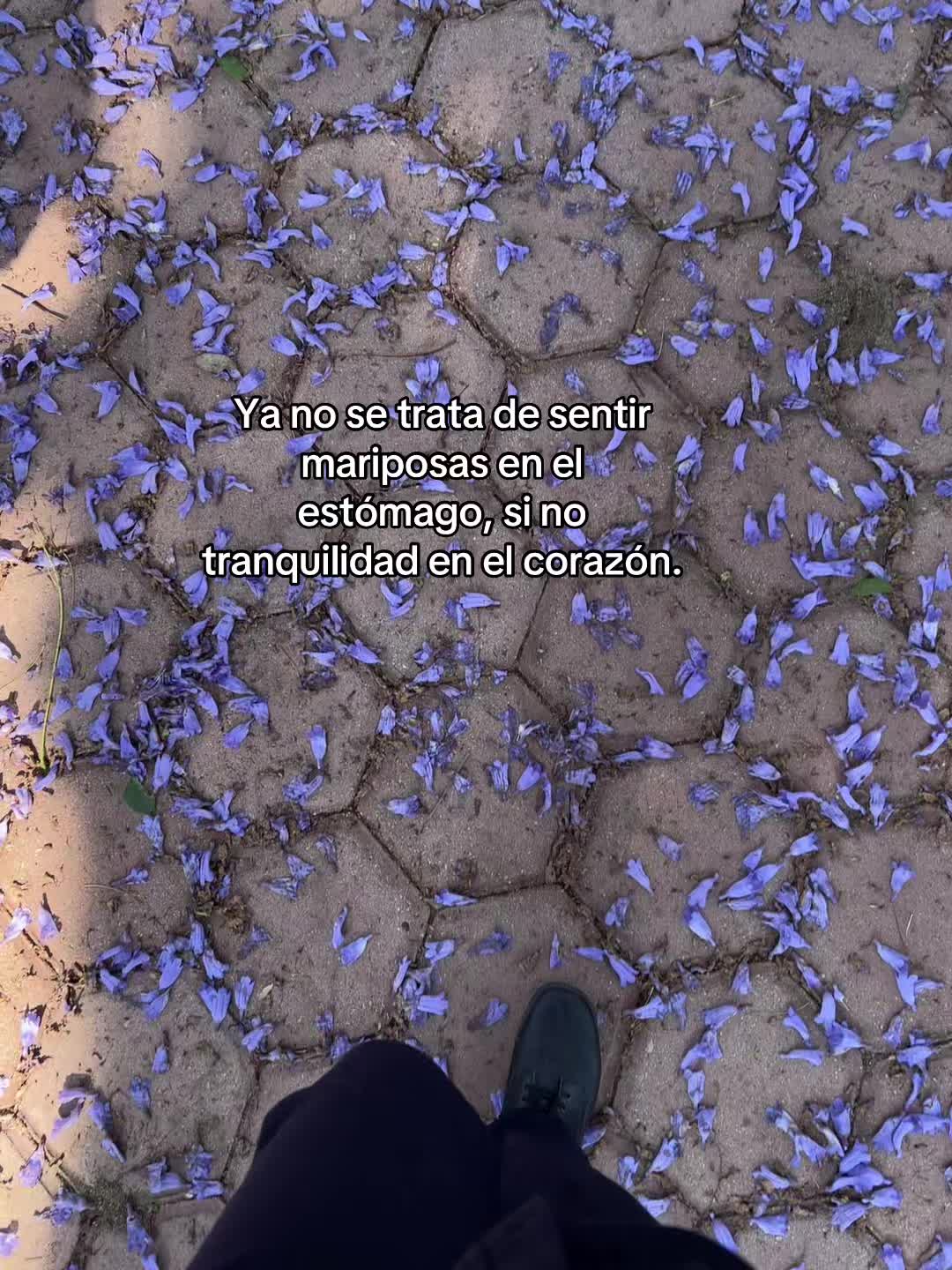 @𝓥𝓪𝓷𝓮🫧