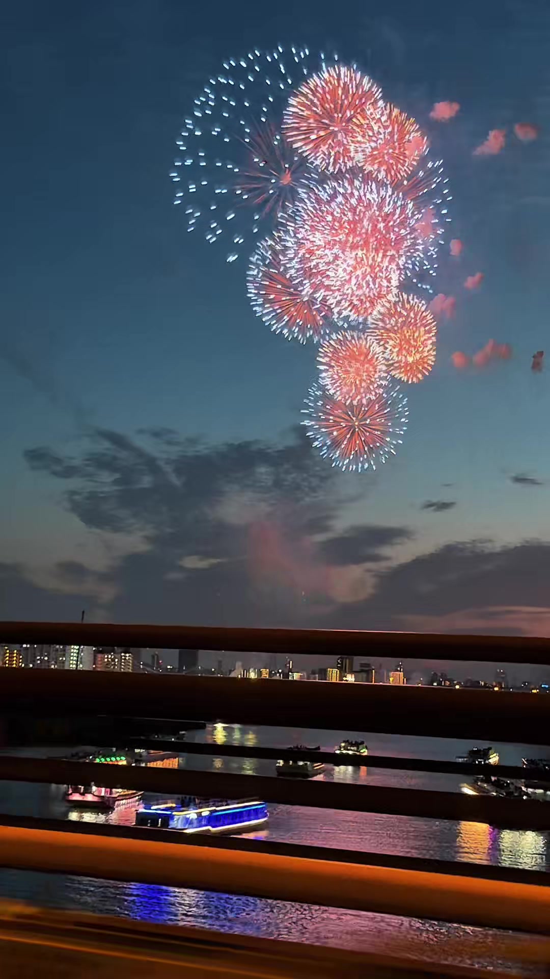@のらよ🏮Norayo
