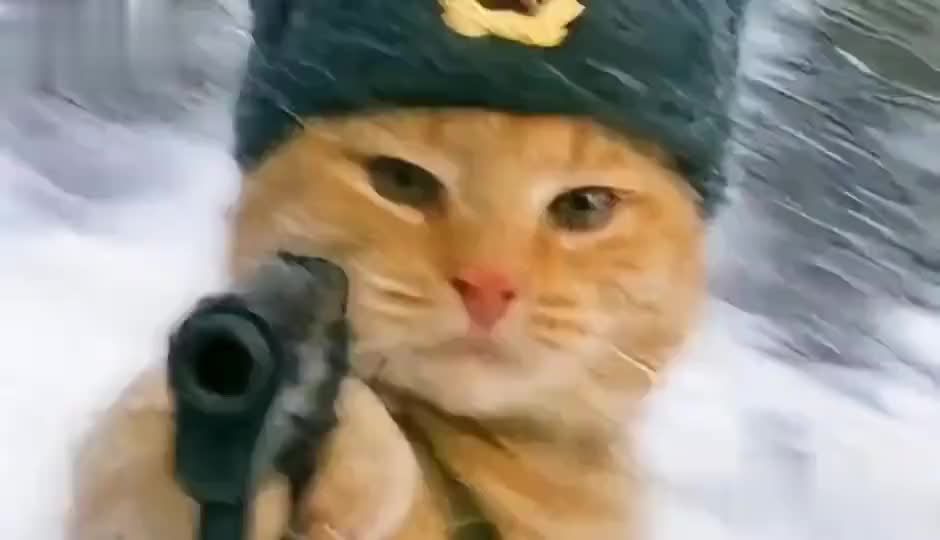 @晃晃悠悠