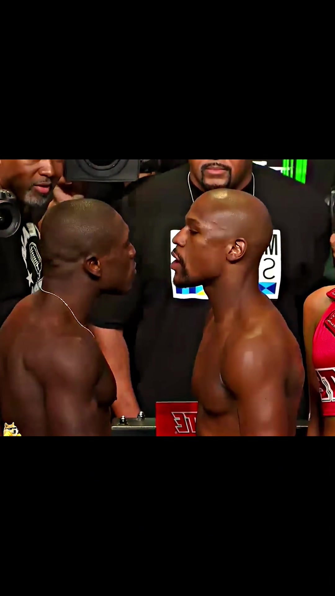 @boxingcat1