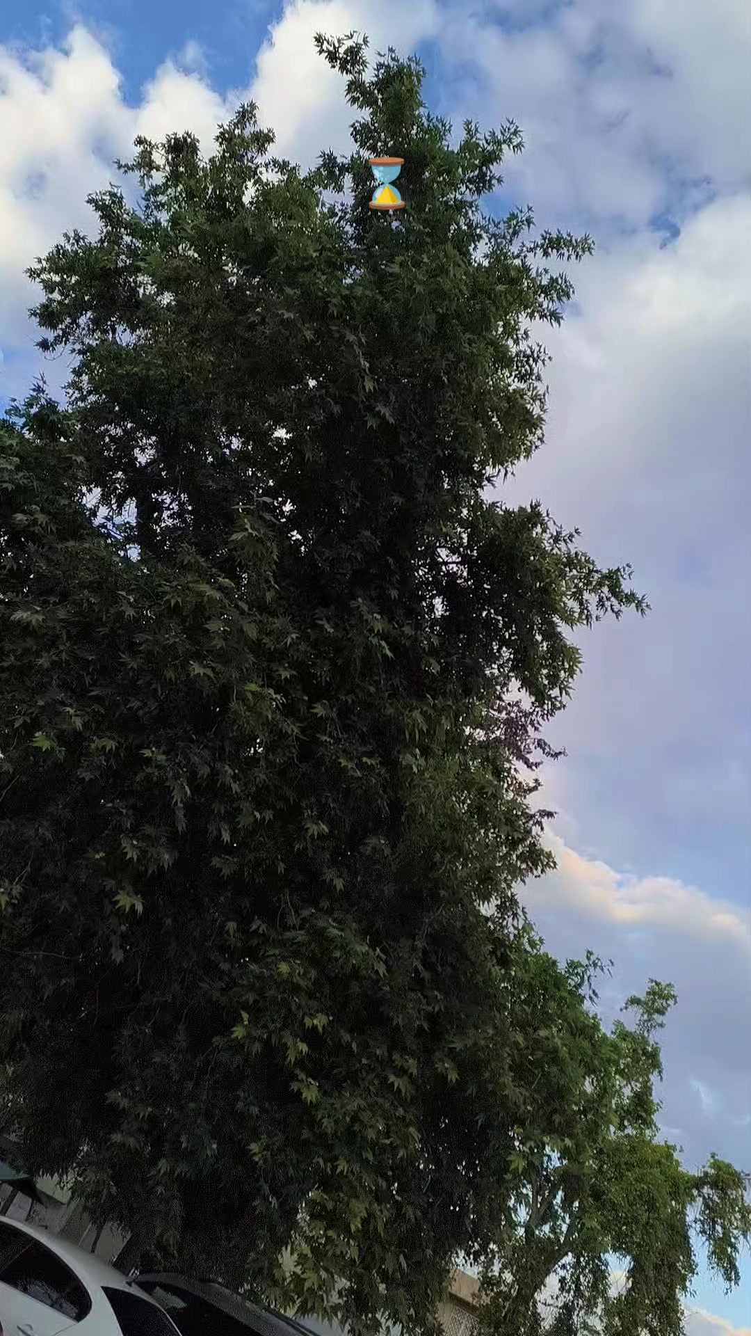 @ɴᴜʀɪ ᴀᴋʙᴏɢᴀ🗽
