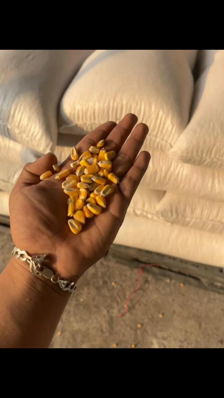 @Concentrados La Ceiba
