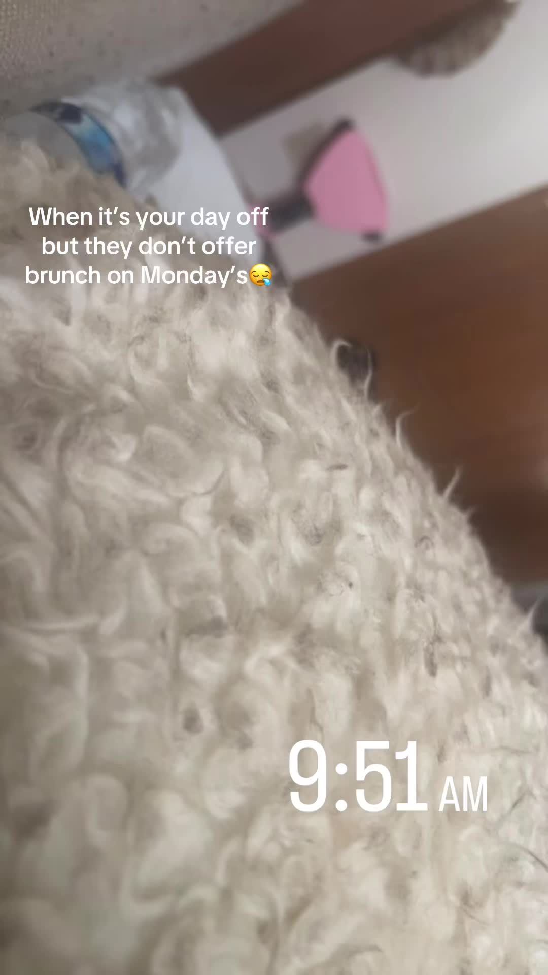 @lyricsshawnaee