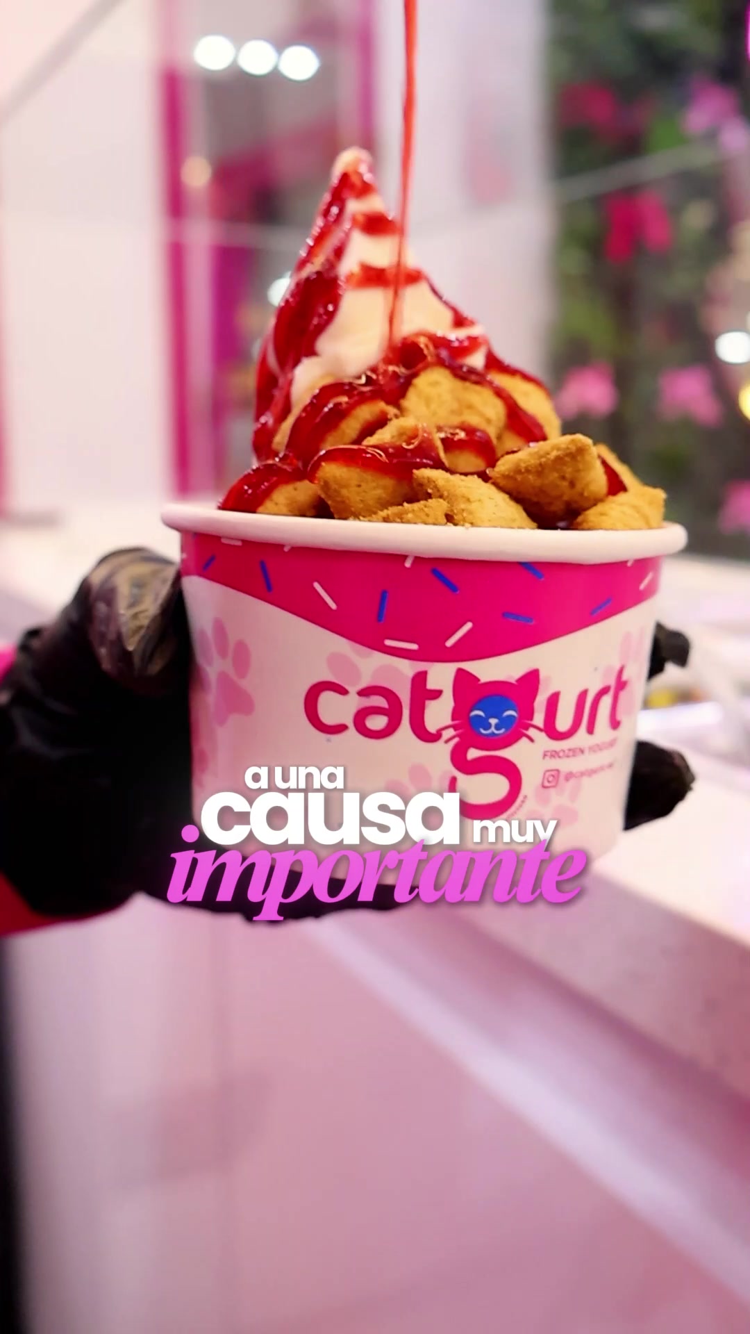 @Catgurt
