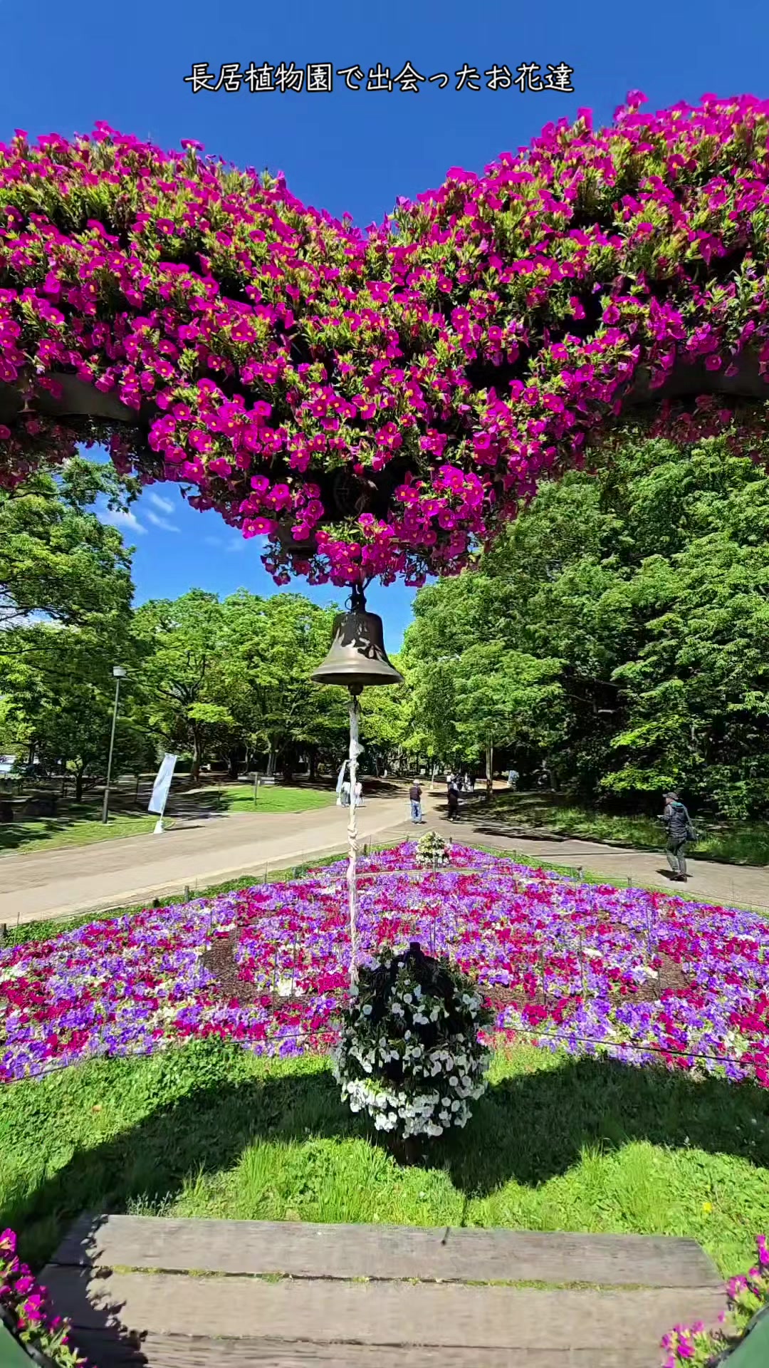 @竜一