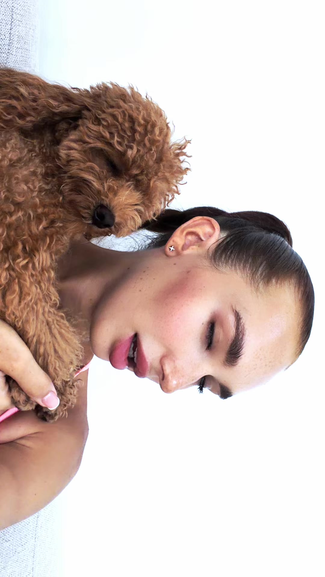@beatrice_poodle