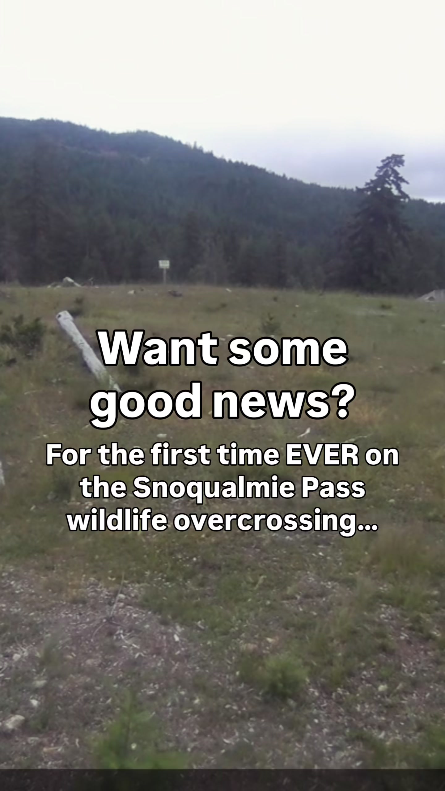 @Washington State DOT