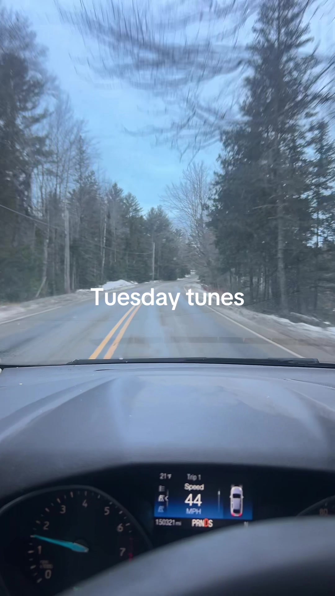 @Tattedtyler