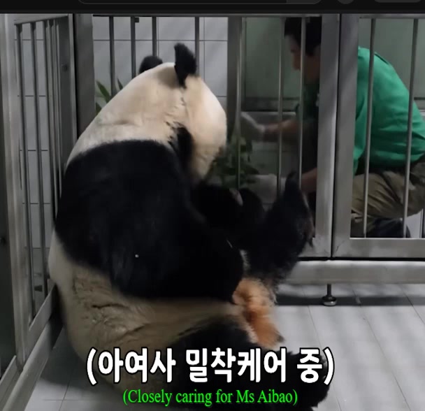 @K-PANDA kim