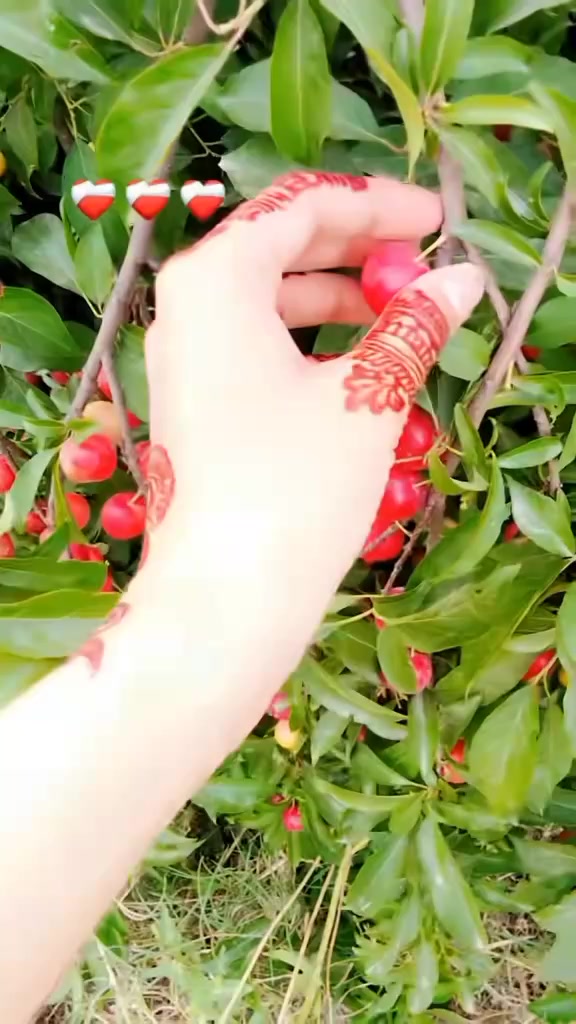 @Mano Shazadi ❤️