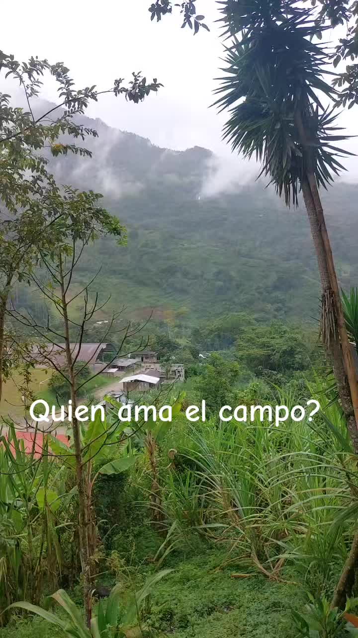 @Margarita