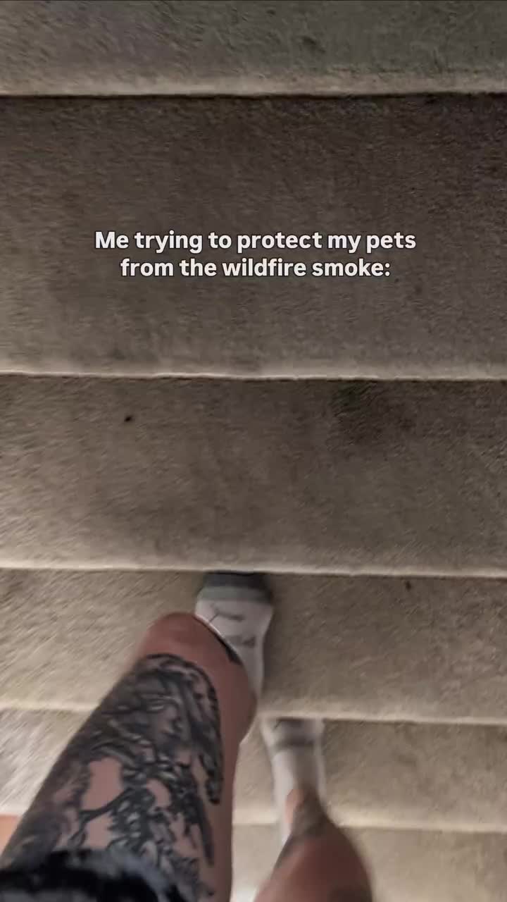 @Carly | Pet + Home Creator