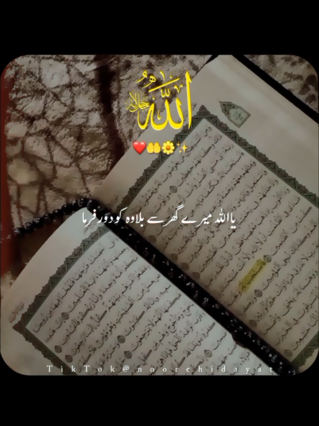 @Noor-e-Hidayat
