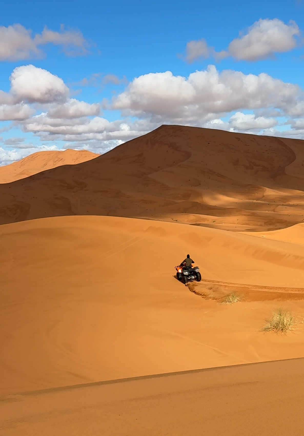 @Merzouga Globe 🌎