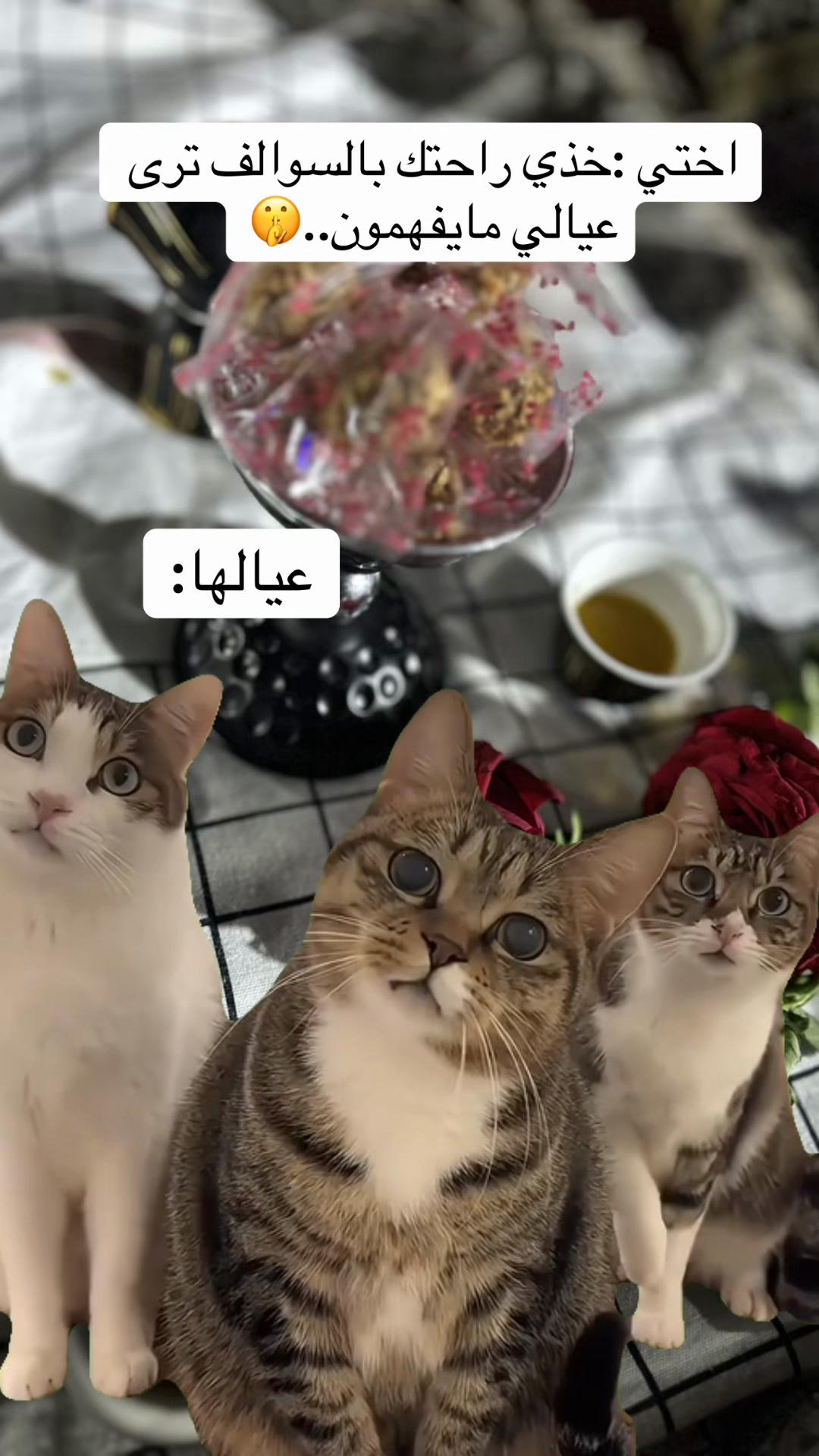 @ℳ𝒪𝒪𝒩🇸🇦💛