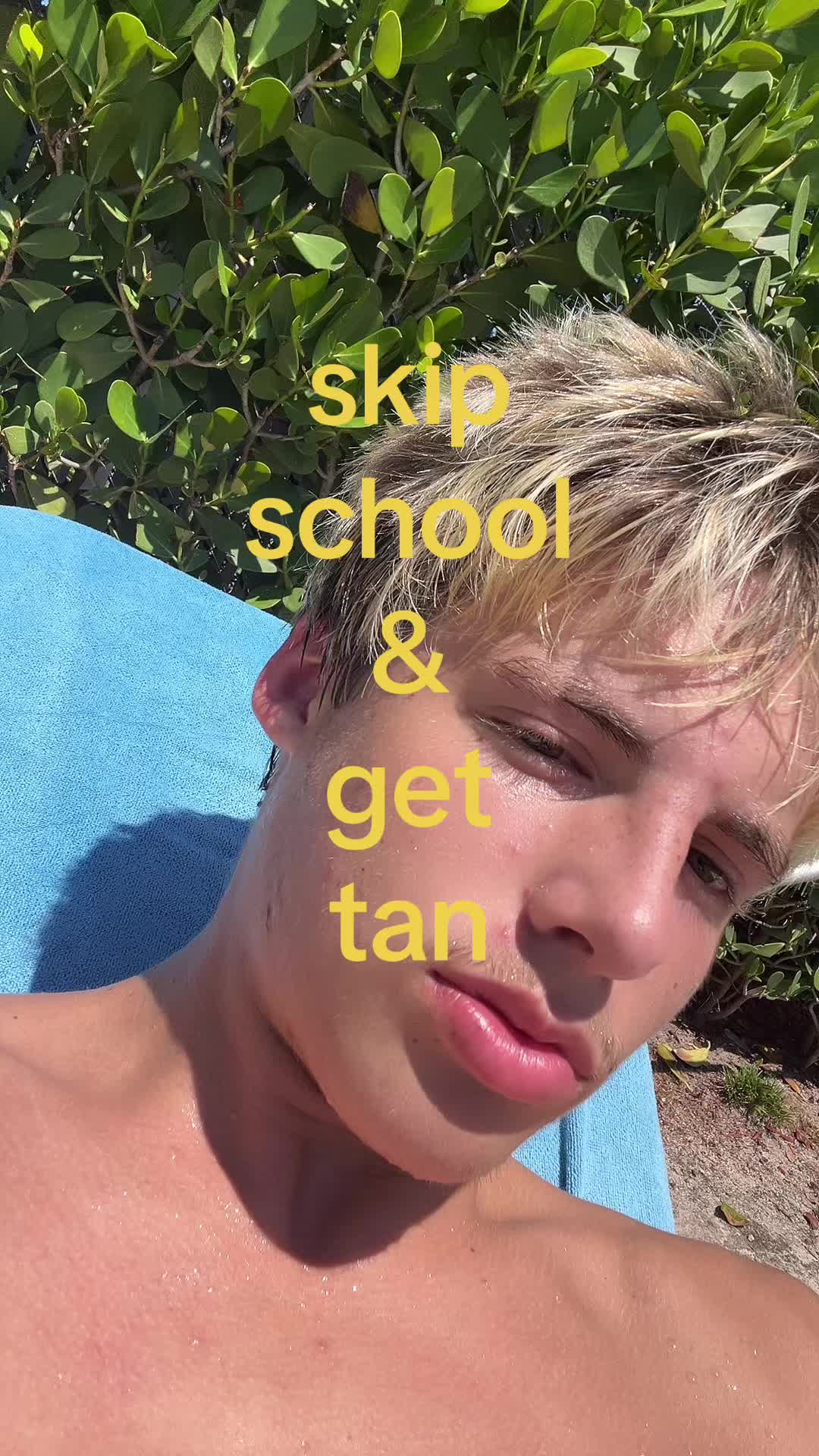@bailey