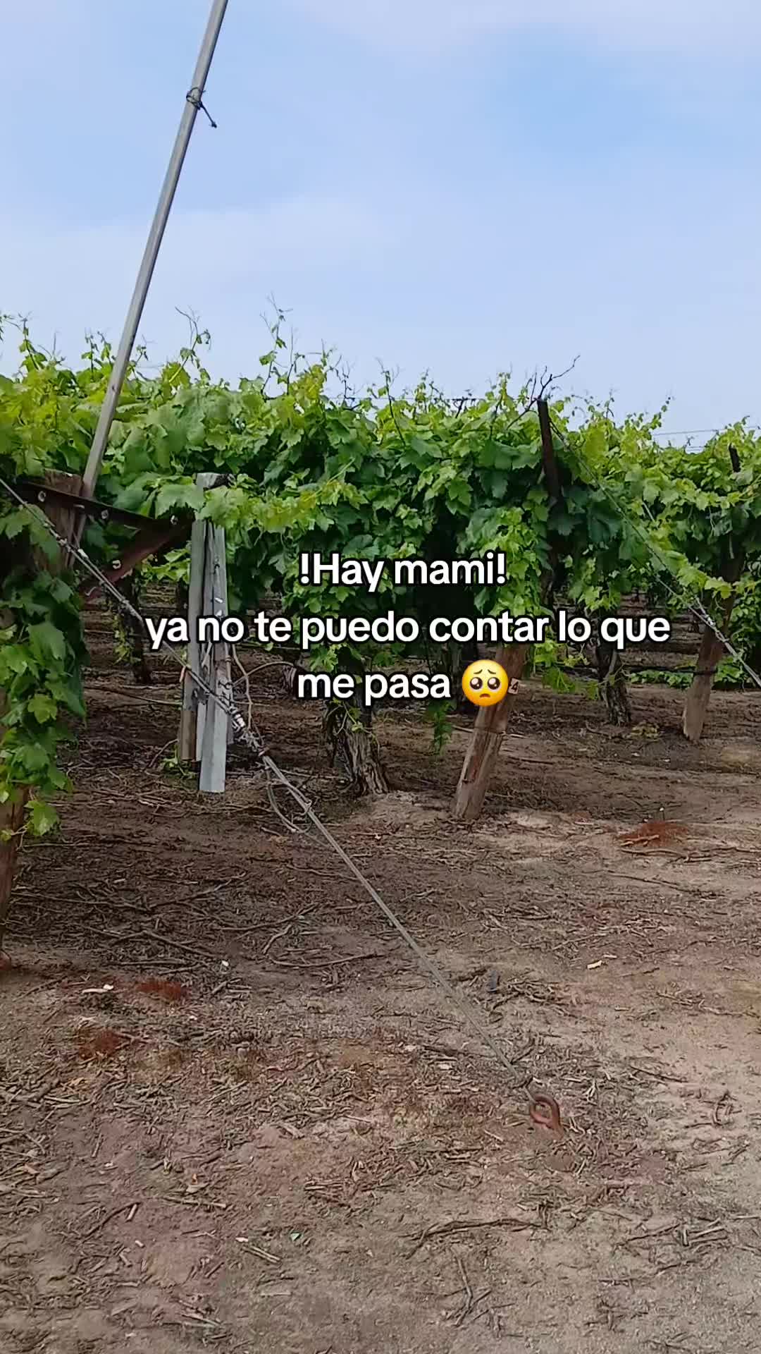 @melissa valencia