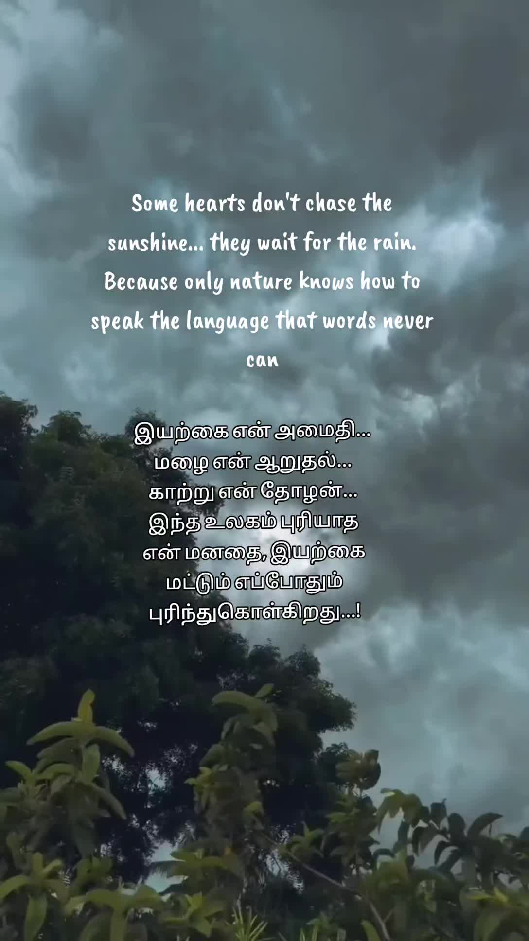 @❤️✨