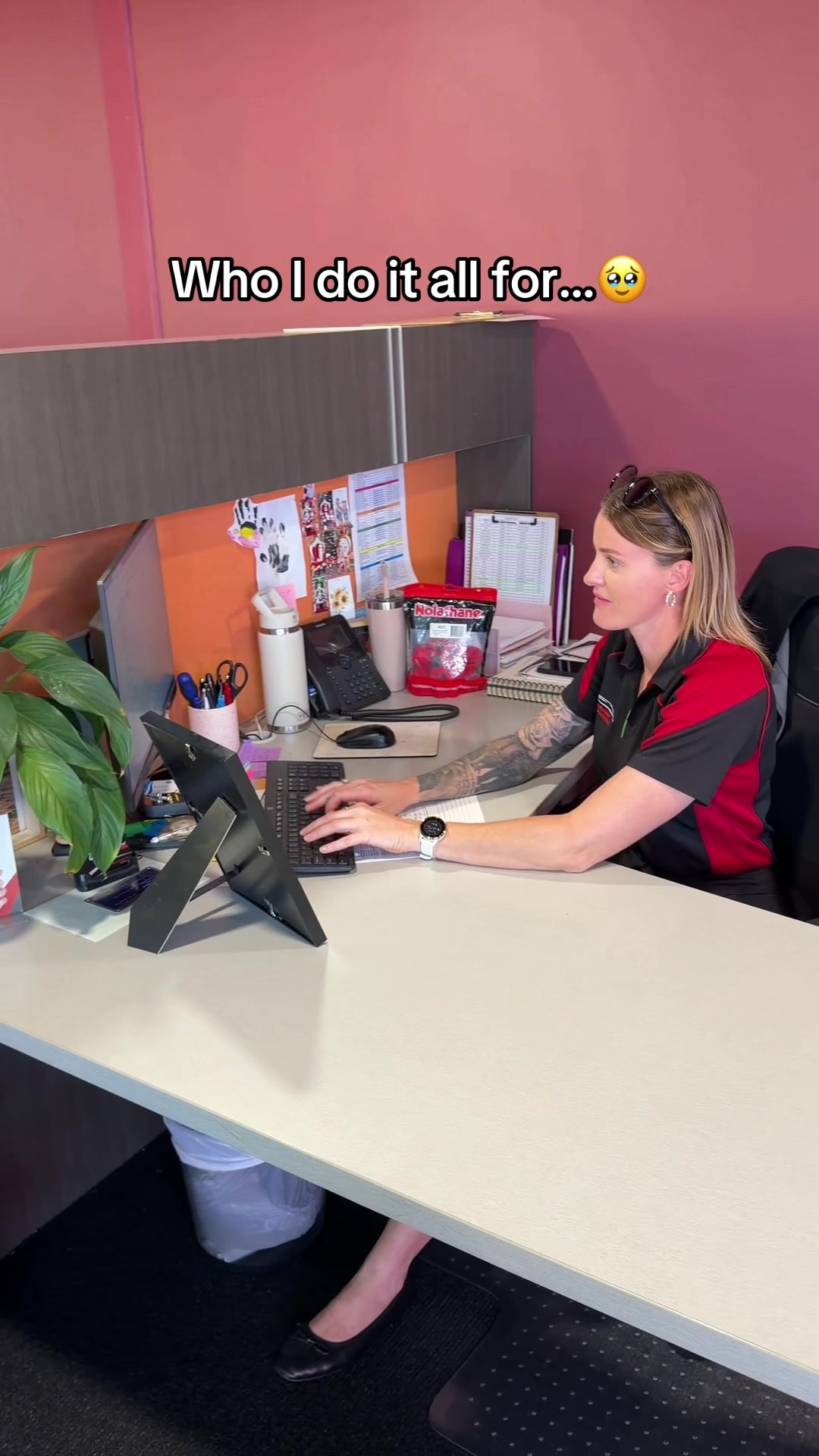 @New Pioneer Motors Mackay