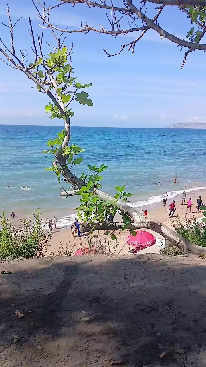 @صياد عين فراني