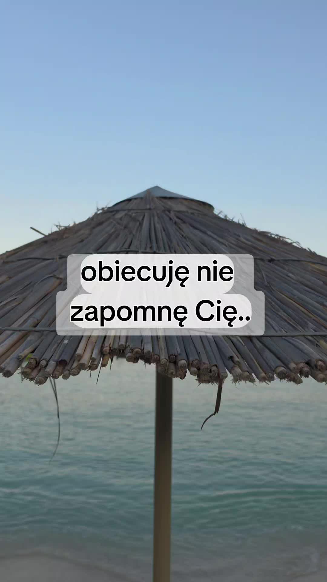@Śladami Zebry