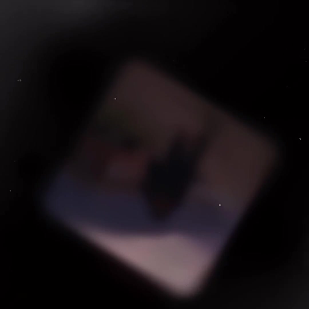 @✧༺🌷𝓣𝓾𝓵𝓲𝓹𝓥𝓻🌷༻✧
