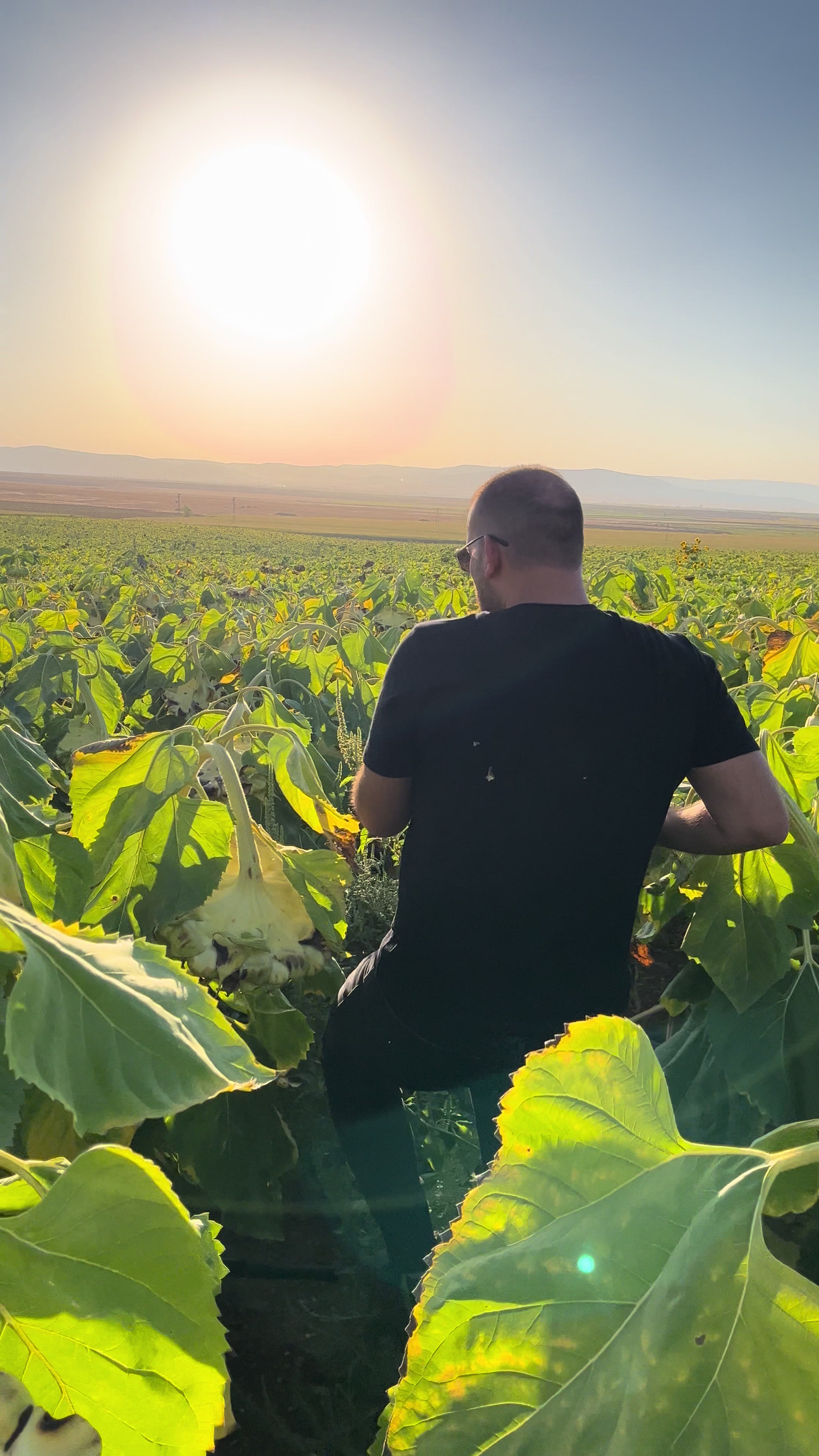 @AGROŞİMŞEK TARIM &Uuml;R&Uuml;NLERİ