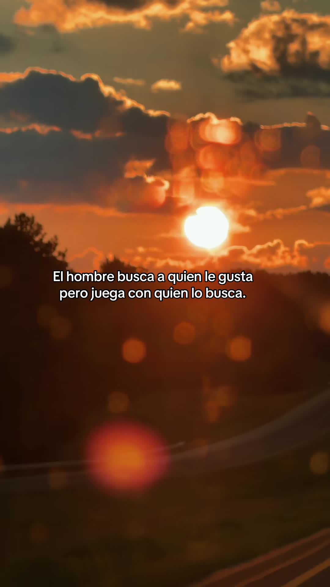@hadadeletras