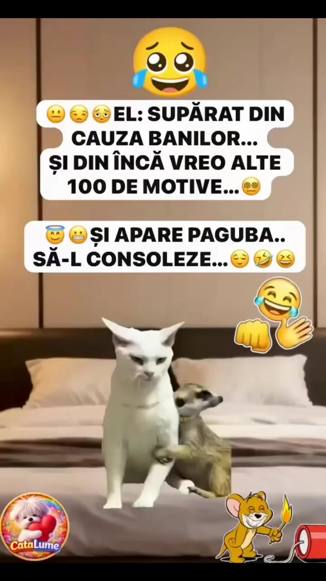 @🍀miki_richi🍀