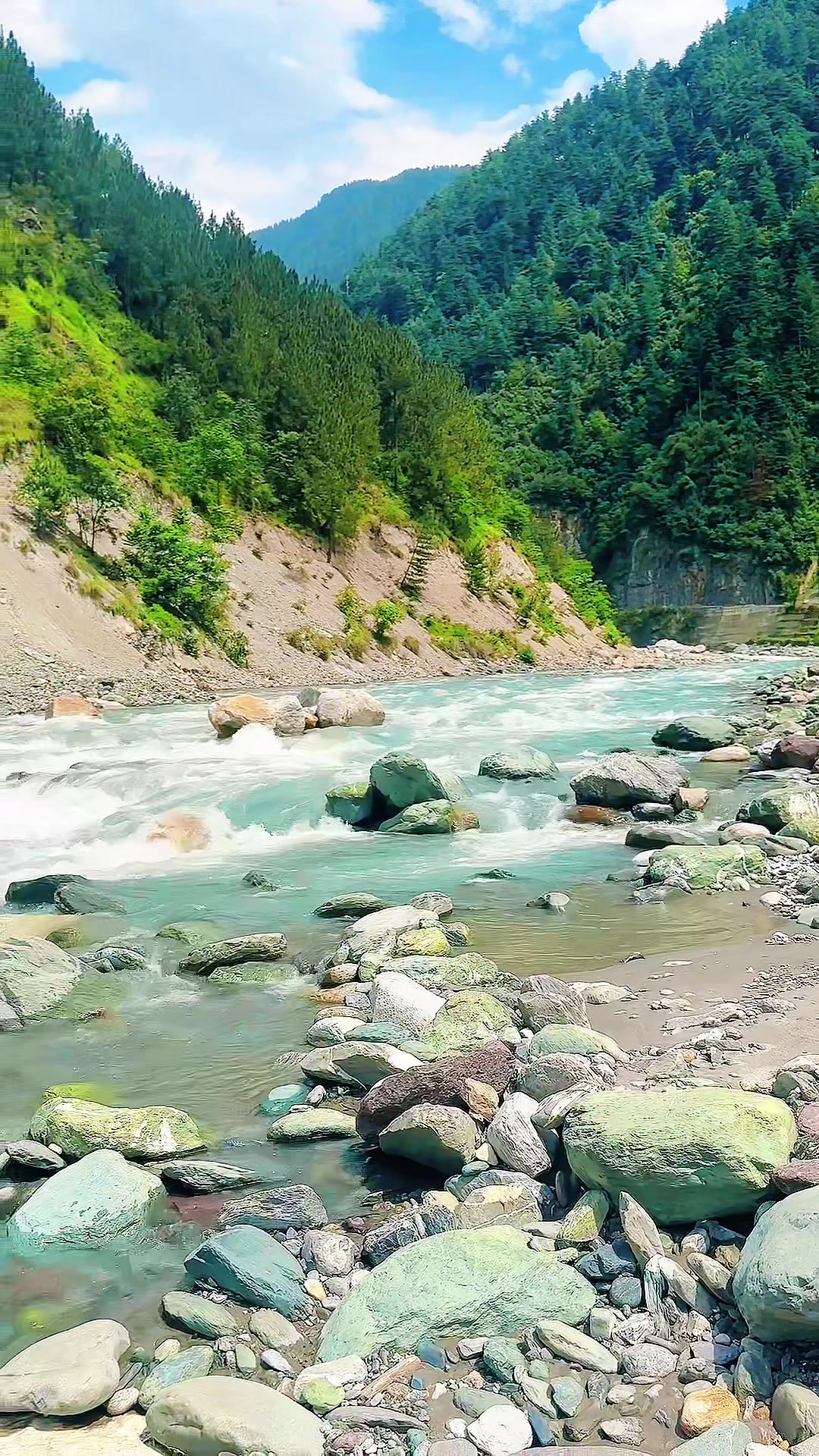 @RJSONU
