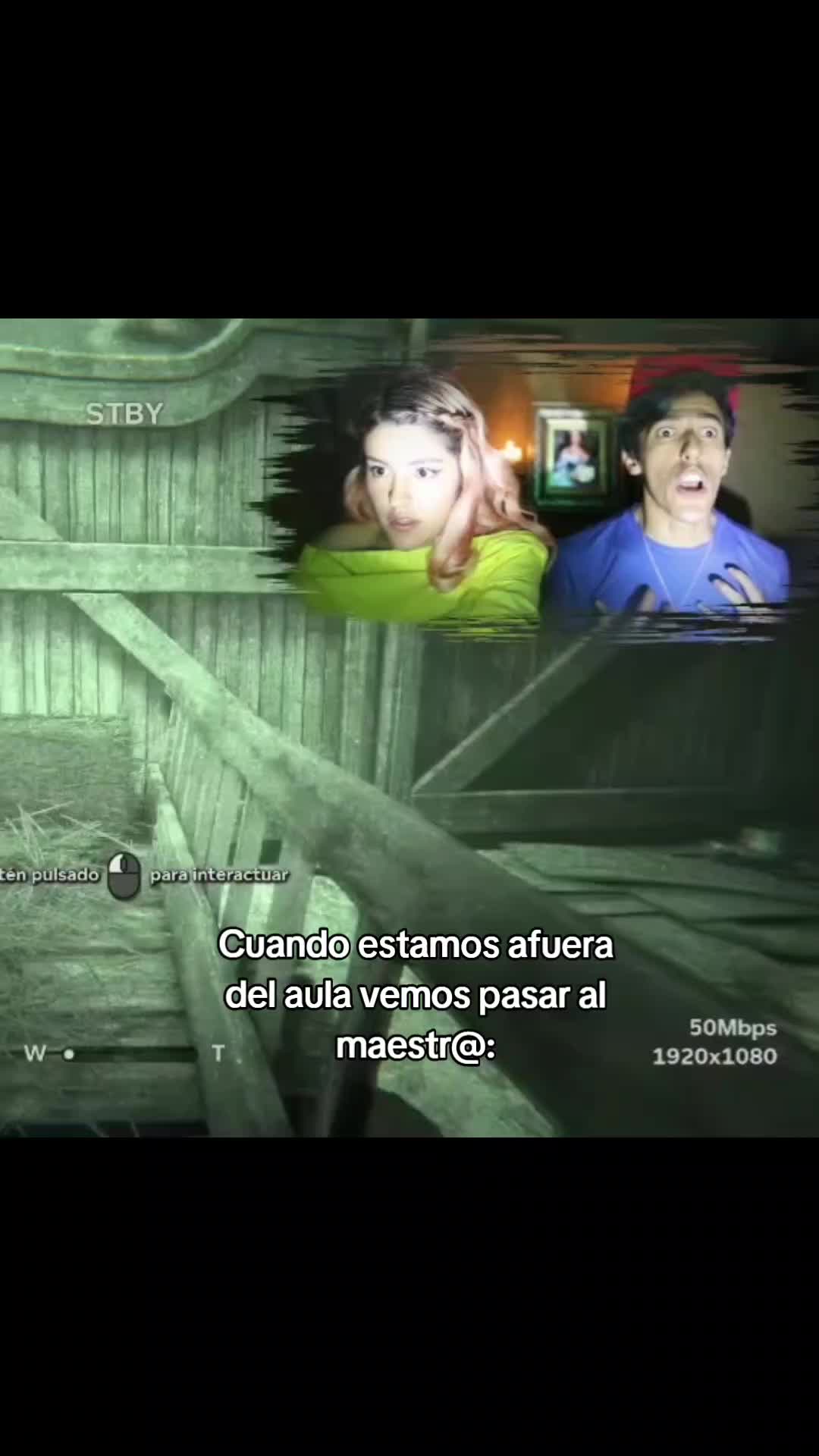 @🪼