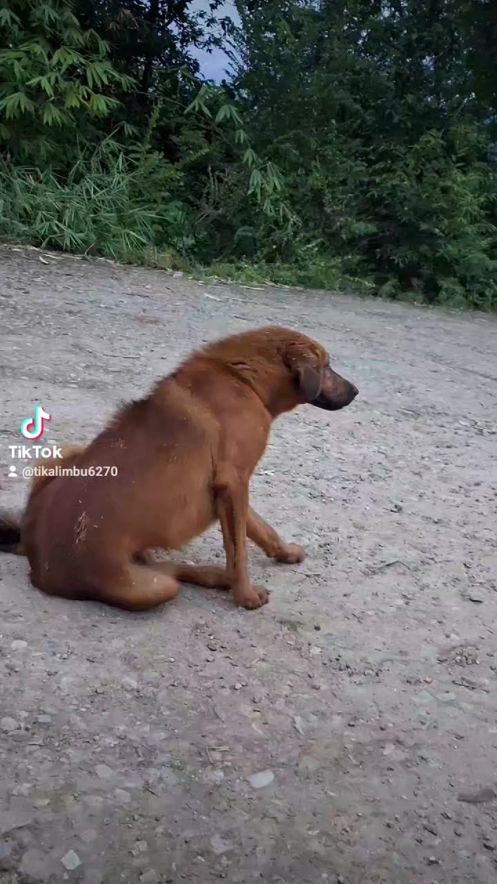 @टीका लिम्बू