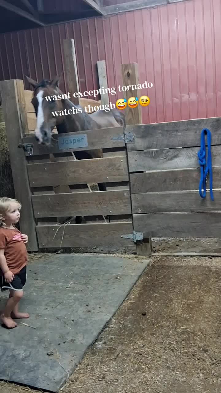 @Taylor | Sah{farm}m