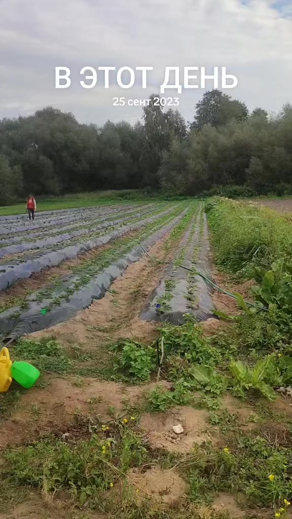 @Рождённые в деревне