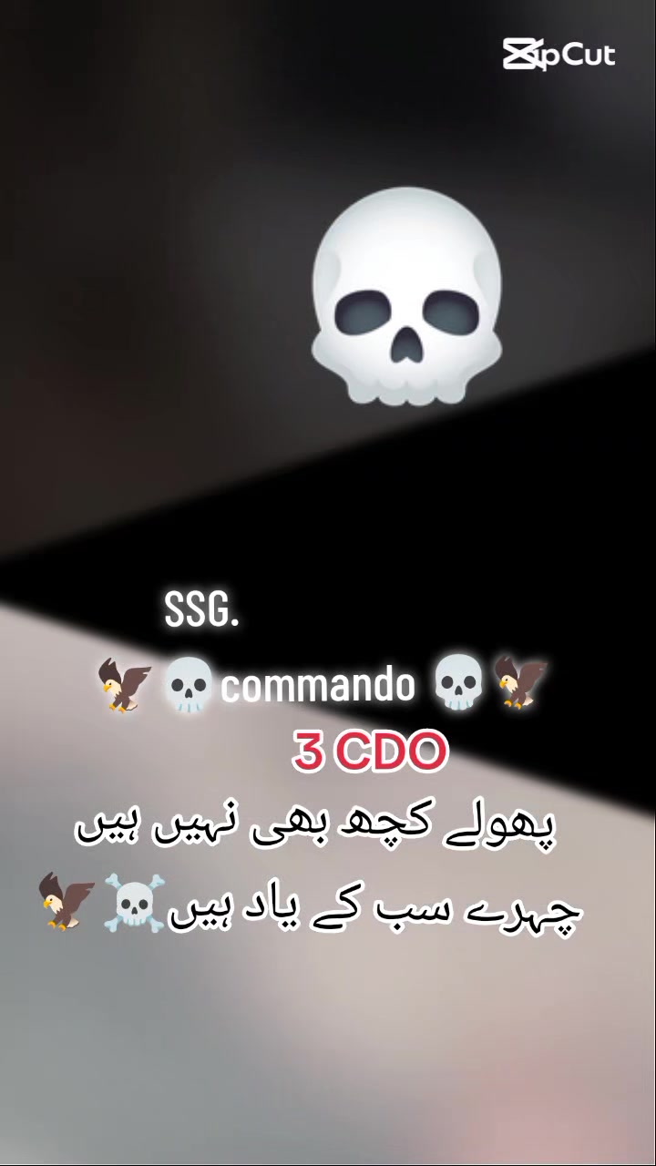 @☠️ SSG ☠️