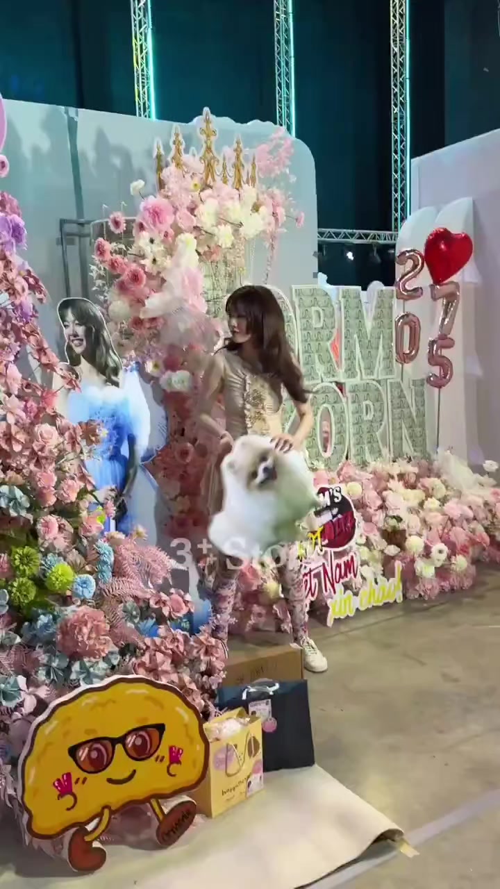 @━ ёccё𝘥ёח†𝑒ṧꭵꪋṧ† :・゚✧