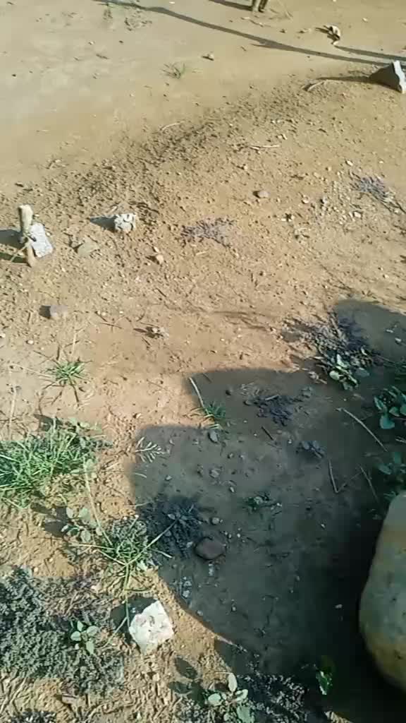 @FAFA_06