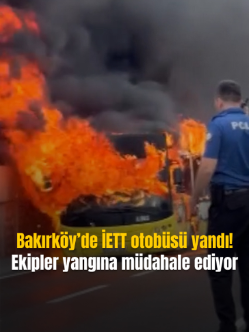 @Mynet