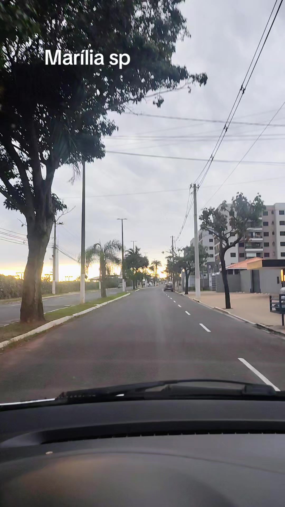 @Maiara Louise Souza