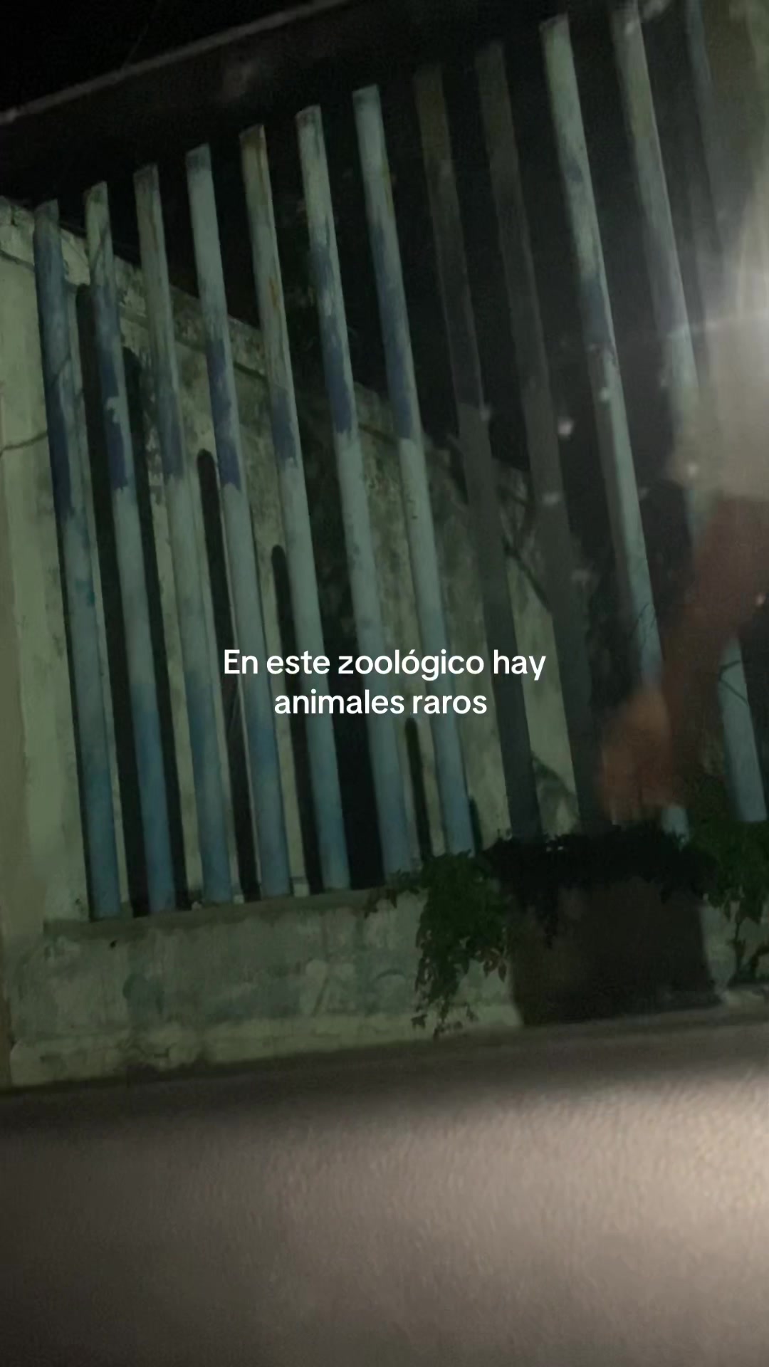 @La Duje