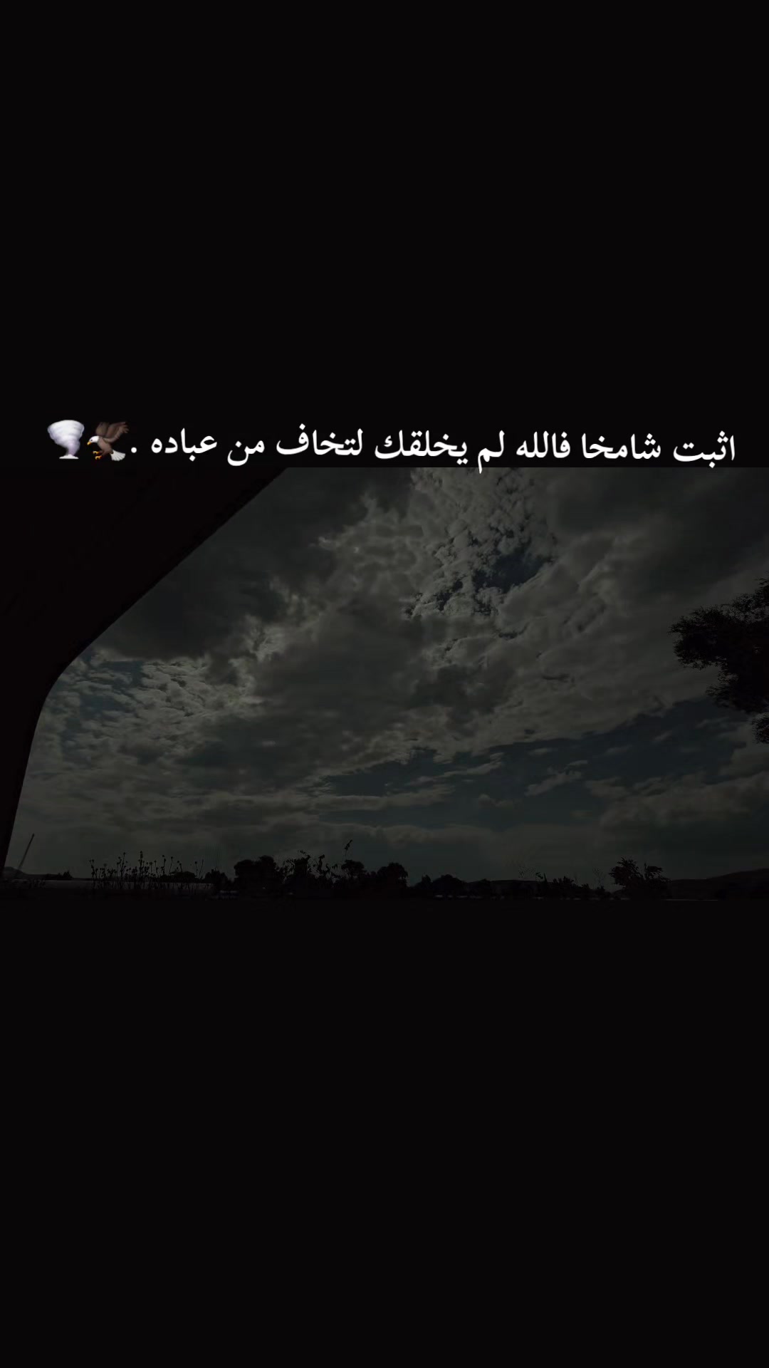 @ْ🪐♯̶مًهّيَمًنِ ⤹✌︎&sup1;✘🇸🇾