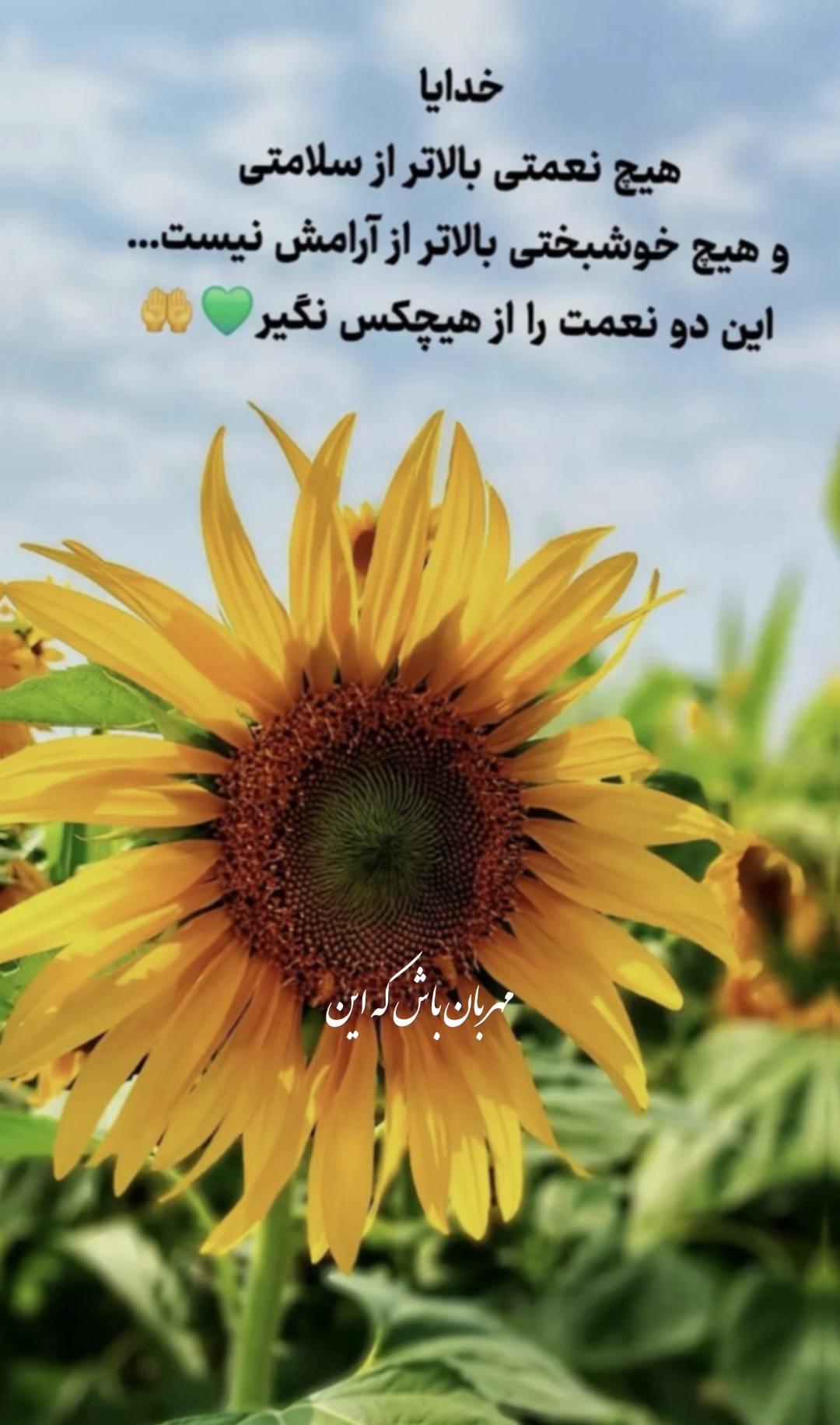 @❦❧𝑺𝒉𝒊𝒓𝒊𝒏☙❦