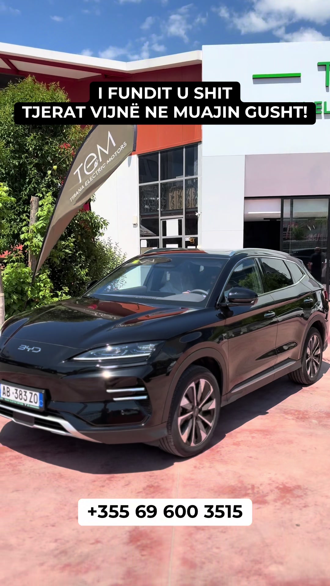 @TIRANA ELECTRIC MOTORS