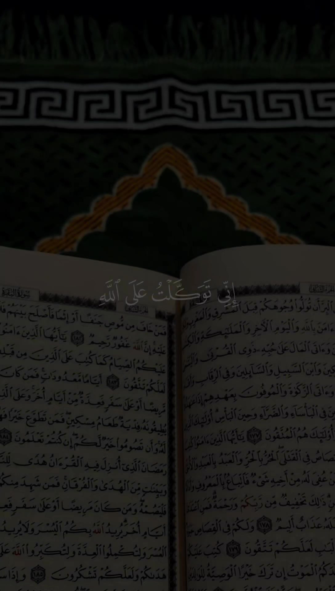 @قــــــرآن || 𝐐𝐮𝐫𝐚𝐧 ✓