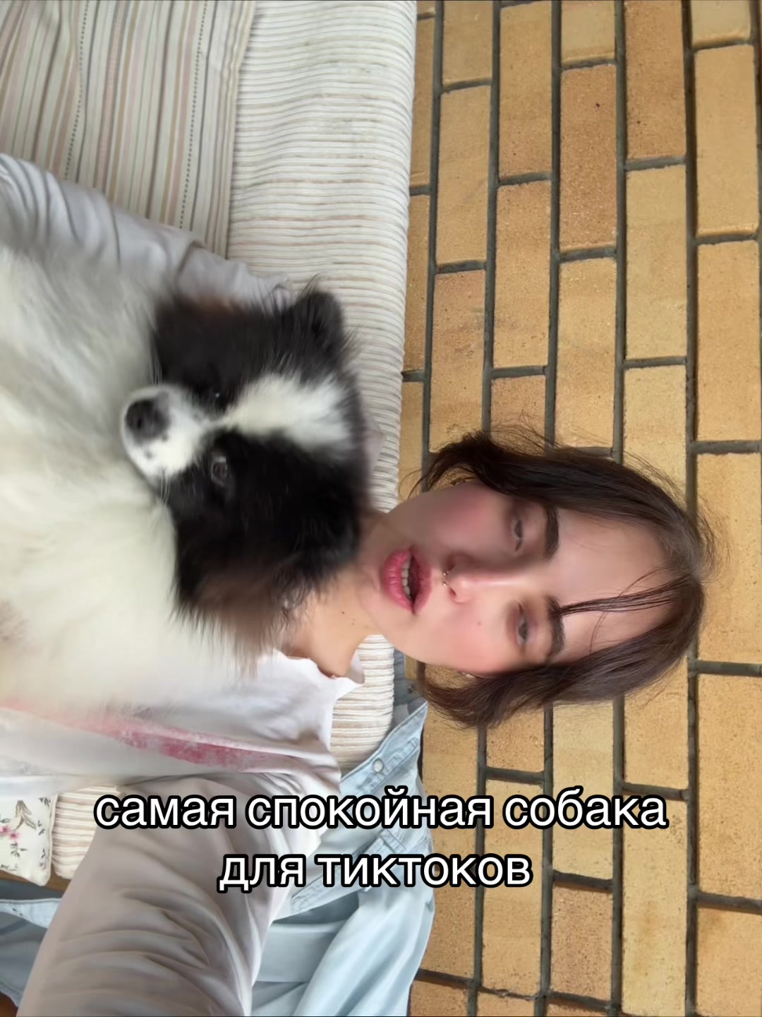 @тгк: itami o uketore