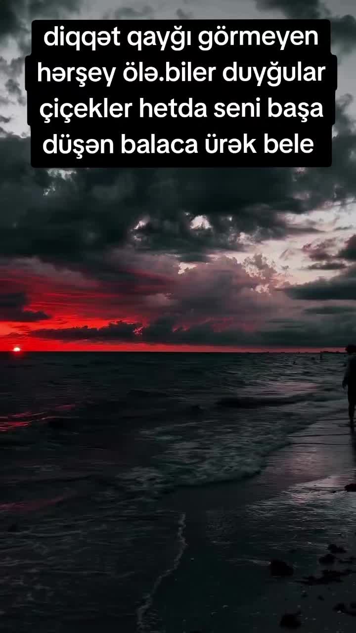 @ali_orucov_89